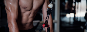 IMPORTANCIA DEL ENTRENAMIENTO DE LA FUERZA II
